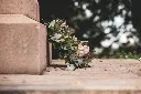 unsplash_IRCrSj-fj28_memorial.jpg.webp